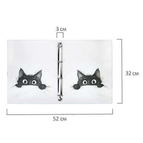 Папка-портфолио универсальная, 4 кольца, 20 файлов, 7БЦ матовая, BRAUBERG "Cat", 107557, 117557