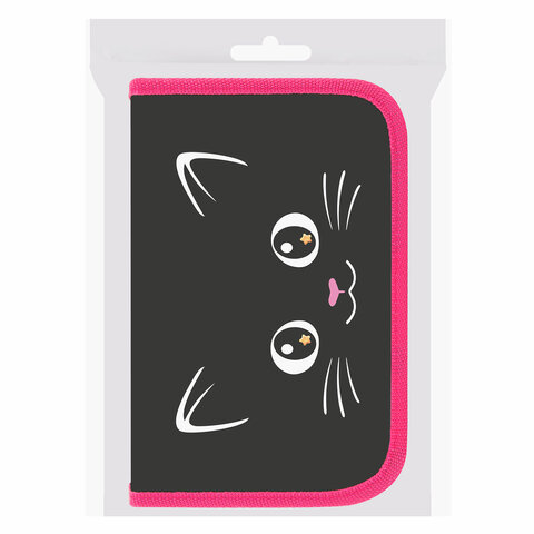 Пенал ПИФАГОР, 1 отделение, ламинированный картон, 19х11 см, "Dark kitten", 273467