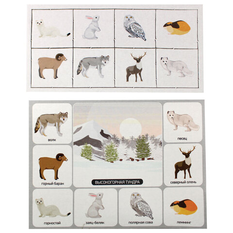 Настольная игра Лото для детей, картонное (6 полей, 48 карточек), АССОРТИ, 10 КОР