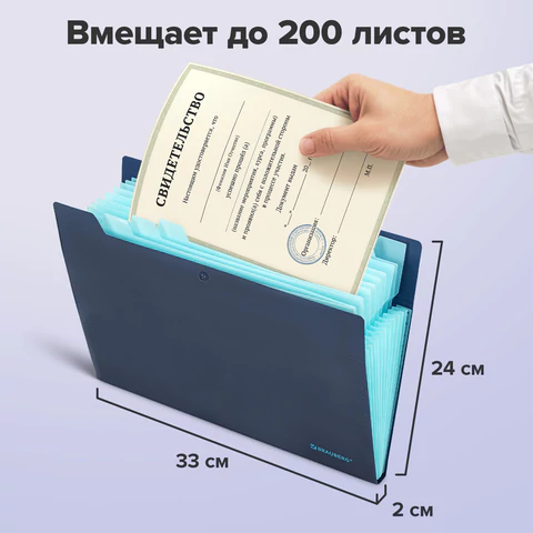 Папка-органайзер на кнопке 12 отделений, BRAUBERG "Extra", А4, синяя с голубым, 271933