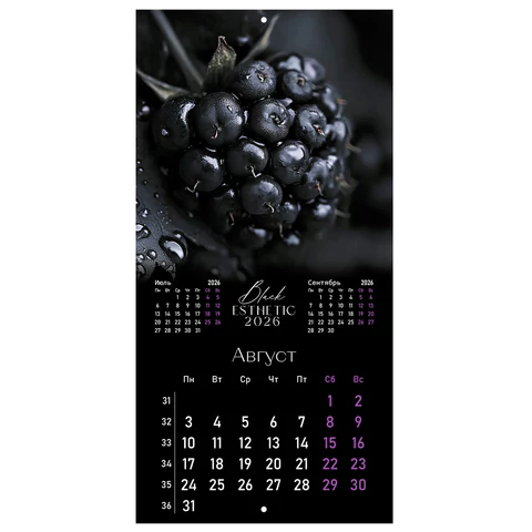 Календарь настенный перекидной 2026 г., BRAUBERG, 12 листов, 28,5х28,5 см, "Black esthetic", 116927