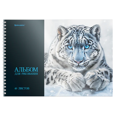Альбом для рисования, пластиковая обложка, А4, 40 л., гребень, BRAUBERG, 210х297 мм, АССОРТИ-1 (8 видов), 107682