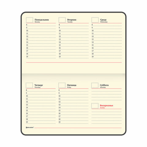 Еженедельник недатированный МАЛЫЙ ФОРМАТ 95х155 мм, А6, BRAUBERG "Iguana", под кожу, 64 л., сиреневый, 114482