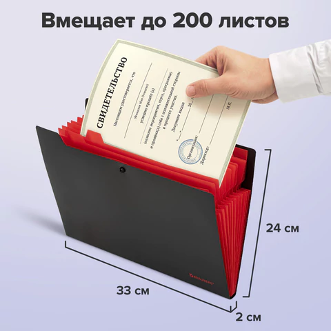 Папка-органайзер на кнопке 12 отделений, BRAUBERG "Extra", А4, черная с красным, 271934