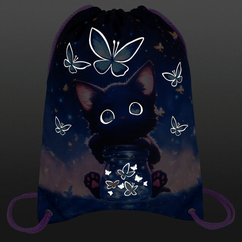 Мешок для обуви BRAUBERG PREMIUM, карман, подкладка, светоотражайка, 43х33 см, "Night catcher", 273442