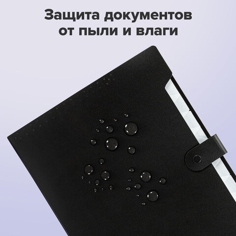 Папка-органайзер на кнопке 12 отделений, BRAUBERG "Extra", А4, черная с белым, 271930