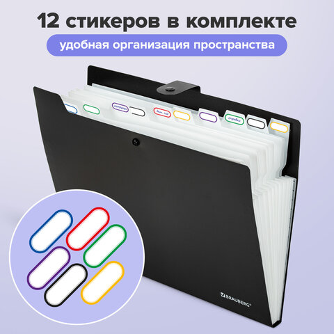 Папка-органайзер на кнопке 12 отделений, BRAUBERG "Extra", А4, черная с белым, 271930