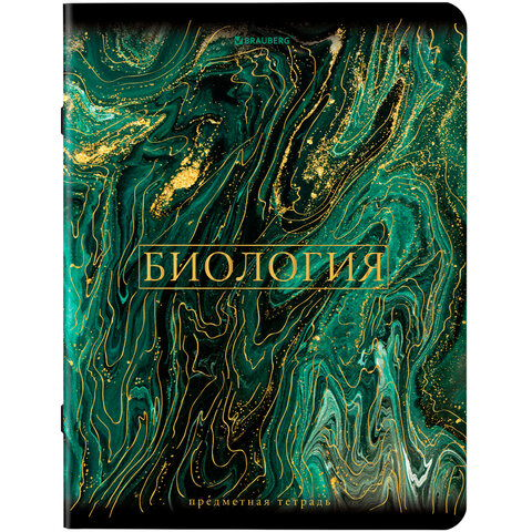 Тетради предметные, КОМПЛЕКТ 12 ПРЕДМЕТОВ, 48 л., SoftTouch, фольга, BRAUBERG, "MARBLE", 404326