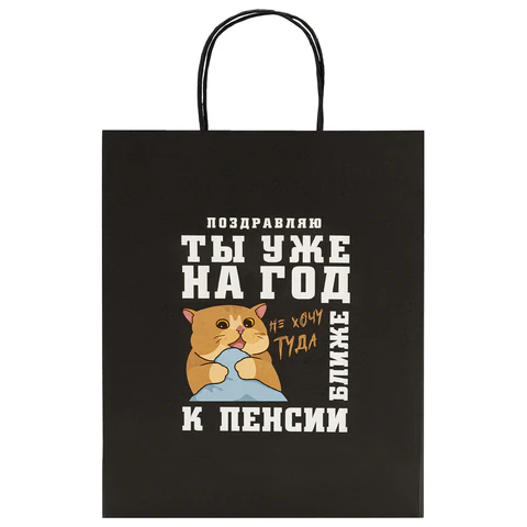 Пакет подарочный (1 штука) 26х13х32 см (L) "Funny Notes", ассорти, крафт, ЗОЛОТАЯ СКАЗКА, 700824