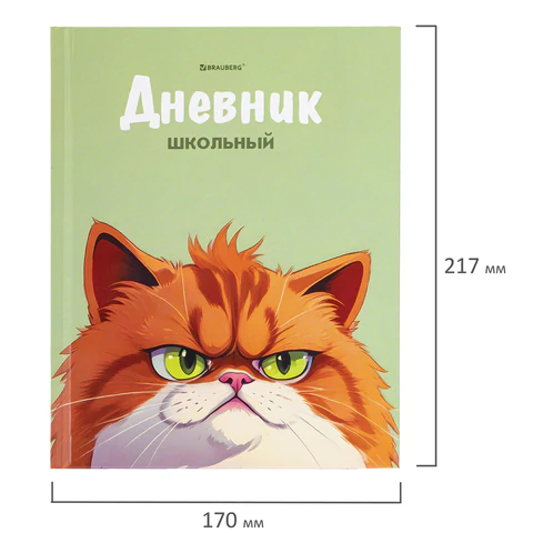 Дневник 5-11 класс 48 л., твердый, BRAUBERG, выборочный лак, с подсказом, "Суровый Кот", 107196