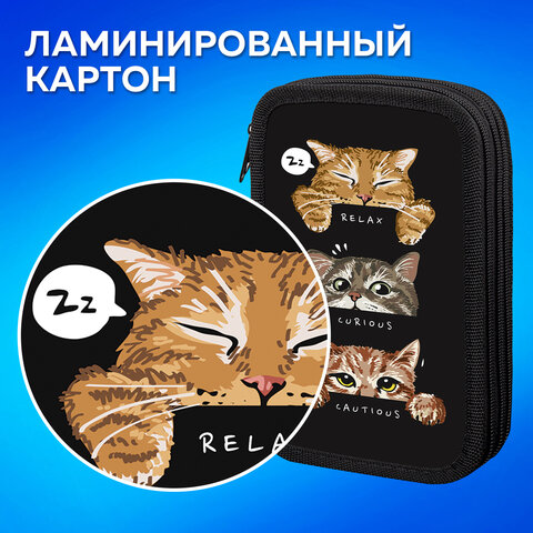 Пенал ПИФАГОР, 3 отделения, ламинированный картон, 19х11 см, "Cool trio", 273486