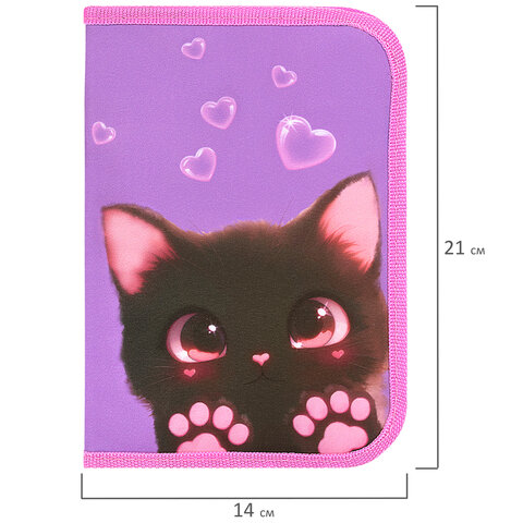 Пенал BRAUBERG, 1 отделение, 2 откидные планки, полиэстер, 21х14 см, "Paw prints", 273526