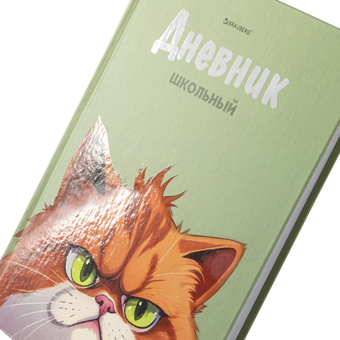 Дневник 5-11 класс 48 л., твердый, BRAUBERG, выборочный лак, с подсказом, "Суровый Кот", 107196
