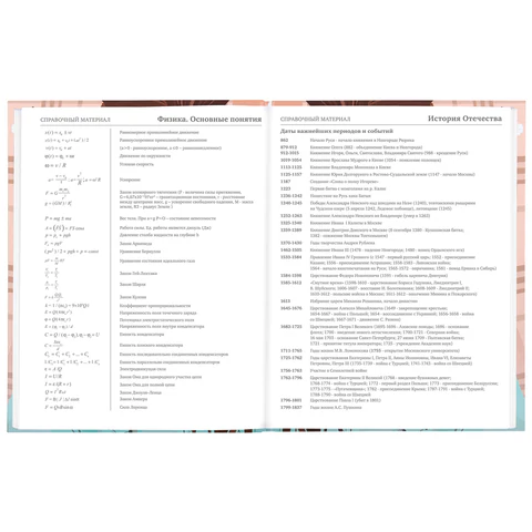 Дневник 5-11 класс 48 л., твердый, BRAUBERG, глянцевая ламинация, с подсказом, "Summer girl", 106882