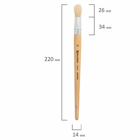 Кисть BRAUBERG, щетина, круглая, № 12, 200200