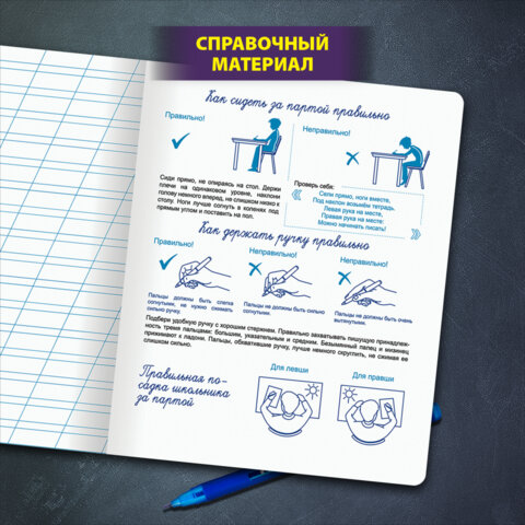 Тетрадь ПРОПИСЬ № 4 12 л. косая линия, со справочным материалом, обложка картон, ЮНЛАНДИЯ, 404851