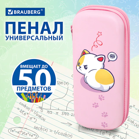 Пенал BRAUBERG, 1 отделение, 1 откидная планка, EVA, 22х10х5 см, "Disturbed", 273513