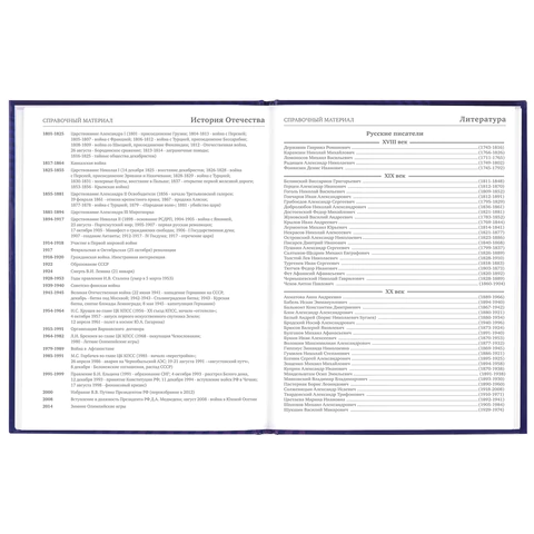 Дневник 5-11 класс 48 л., твердый, BRAUBERG, глянцевая ламинация, с подсказом, "Music", 106623