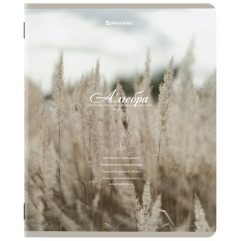 Тетради предметные, КОМПЛЕКТ 12 ПРЕДМЕТОВ, 48 л., SoftTouch, BRAUBERG, "ESTHETICS", 404833