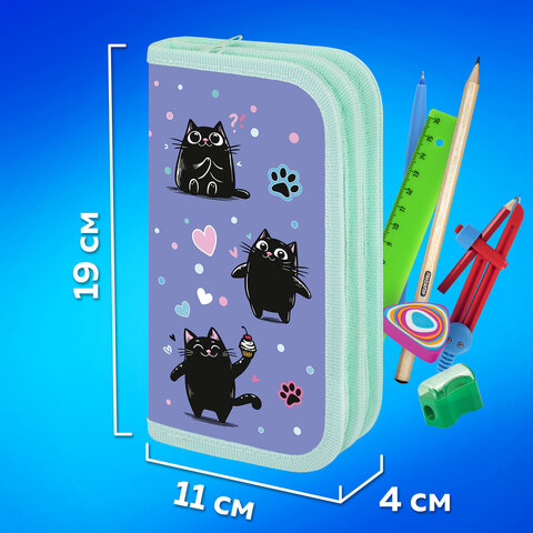 Пенал ПИФАГОР, 2 отделения, ламинированный картон, 19х11 см, "Funny cats", 273481