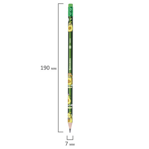 Набор карандашей чернографитных с принтом BRAUBERG "AVOCADO", 12 штук, HB, с ластиком, корпус ассорти, 182032