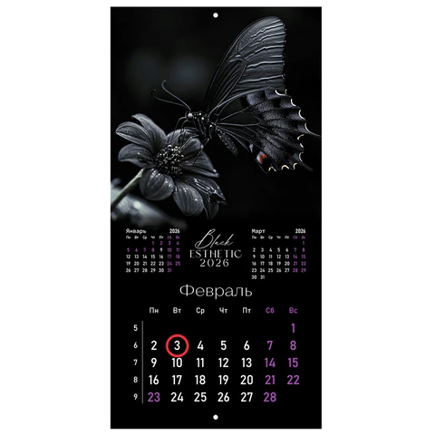 Календарь настенный перекидной 2026 г., BRAUBERG, 12 листов, 28,5х28,5 см, "Black esthetic", 116927