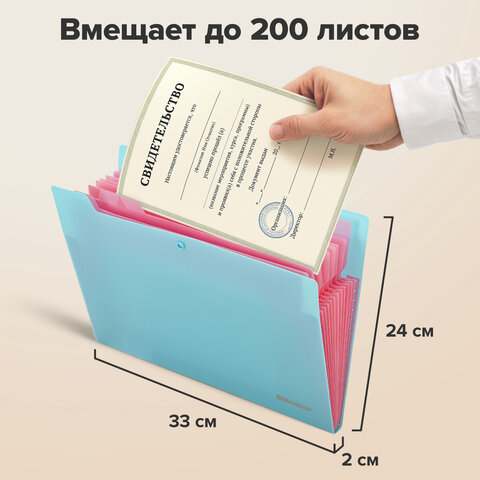 Папка-органайзер на кнопке 12 отделений, BRAUBERG "Extra", А4, голубая с розовым, 271932