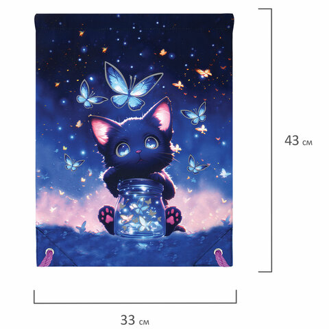 Мешок для обуви BRAUBERG PREMIUM, карман, подкладка, светоотражайка, 43х33 см, "Night catcher", 273442