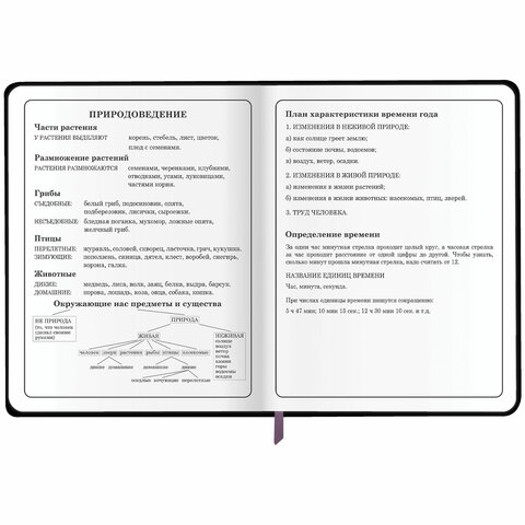 Дневник 1-4 класс 48 л., кожзам (гибкая), печать, фольга, ЮНЛАНДИЯ, "Бабочки", 106924