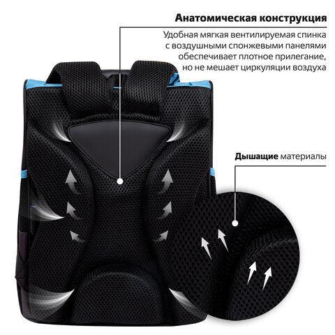 Ранец ПИФАГОР BASIC, 1 отделение, 3 кармана, эргономичная спинка, "Angry shark", 35х28х18 см, 272044