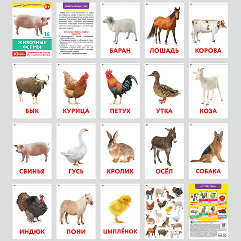 Карточки Домана, 8 развивающих брошюр по методике ГЛЕННА ДОМАНА, 145 изображений, ЮНЛАНДИЯ, 691022