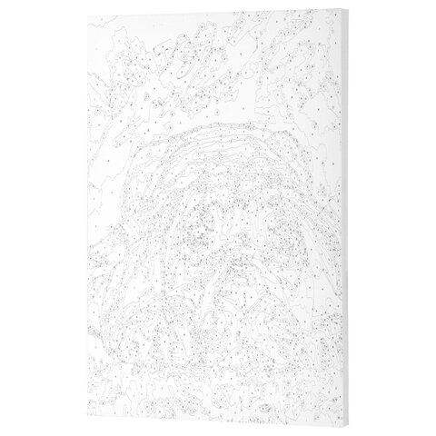 Картина по номерам 40х50 см, ОСТРОВ СОКРОВИЩ "Мечтай!", на подрамнике, акрил, кисти, 662904