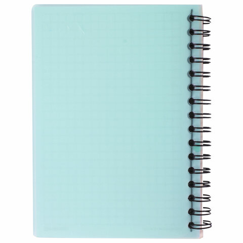 Блокнот МАЛЫЙ ФОРМАТ А6 105х145 мм, 80 л., гребень, пластик, клетка, BRAUBERG, "Офисный", 125399