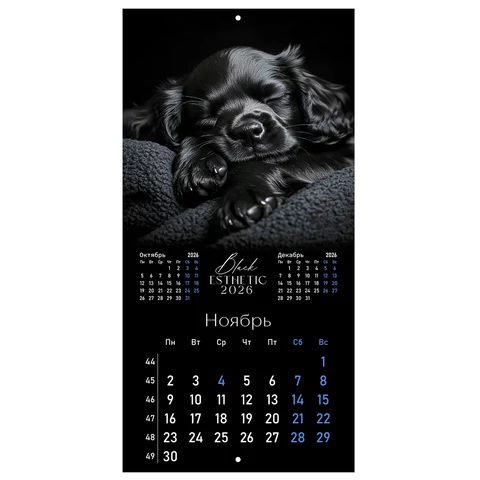 Календарь настенный перекидной 2026 г., BRAUBERG, 12 листов, 28,5х28,5 см, "Black esthetic", 116927