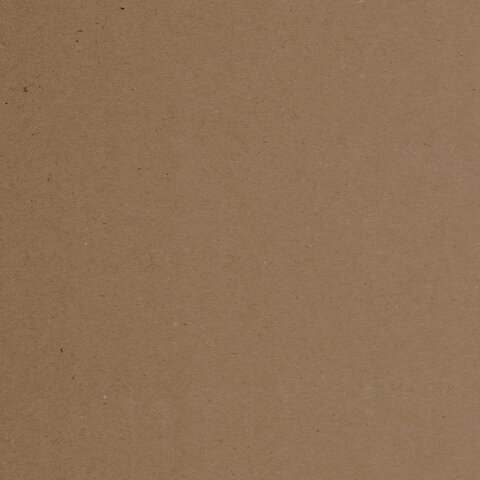 Крафт-бумага для графики, эскизов А4(210х297мм), 120г/м2, 100л, BRAUBERG ART CLASSIC,112486