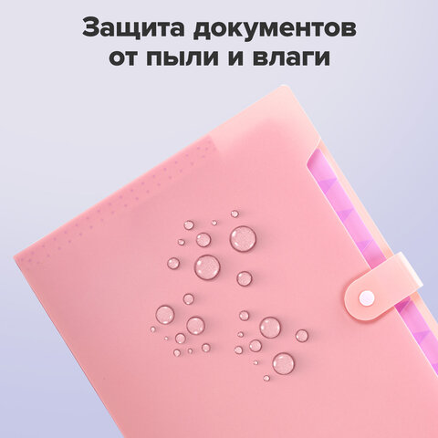 Папка-органайзер на кнопке 12 отделений, BRAUBERG "Extra", А4, персиковая с лавандовым, 271931