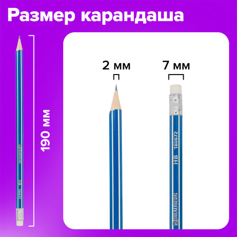 Карандаши чернографитные BRAUBERG НАБОР 12 шт., "ZTX", HB, с резинкой, синий корпус, картонная упаковка, 180672