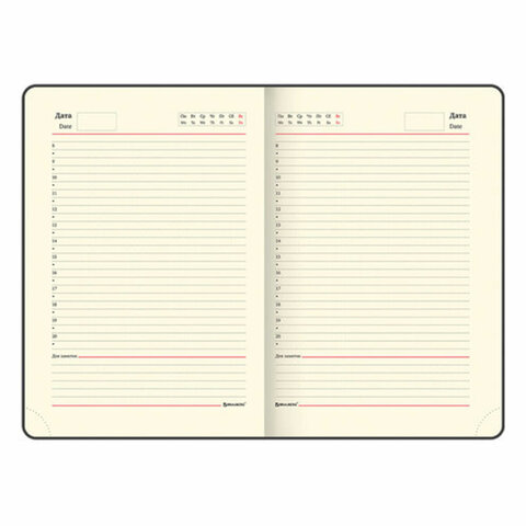 Ручка шариковая PARKER "Jotter Plastic CT", корпус черный, ежедневник А5 черный, золотой срез, пакет, 880894