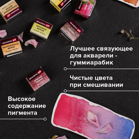 Акварель художественная кюветы НАБОР 24 цвета по 3,5 г, металлический кейс, BRAUBERG ART PREMIERE, 191773