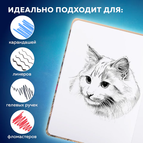 Скетчбук, белая бумага 160 г/м, 145х203 мм, 64 л., резинка, твердый, BRAUBERG ART CLASSIC "Это Кот", 114589