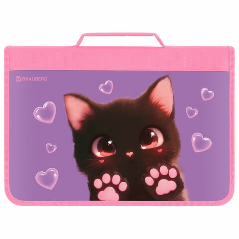Папка на молнии BRAUBERG А4 с ручкой, с органайзером, 1 отделение, "Paw prints", 273383