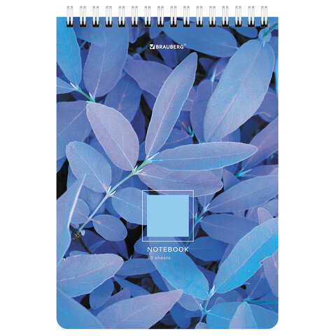 Блокнот А5 (146х206 мм), 80 л., гребень, картон, клетка, BRAUBERG, "Яркие листья", 114372
