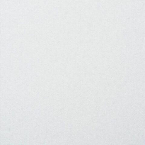 Картон белый А4 МЕЛОВАННЫЙ (белый оборот), 50 листов, в коробке, BRAUBERG, 210х297 мм, 113563