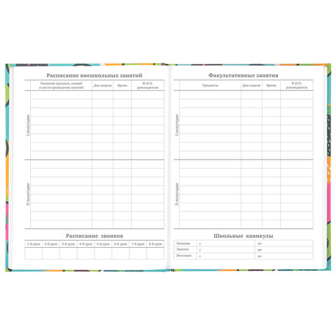 Дневник 5-11 класс 48 л., твердый, BRAUBERG, блестки, с подсказом, "Avocado", 106419