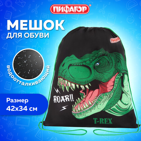 Мешок для обуви ПИФАГОР, 1 отделение, 42х34 см, "Дино", 272387