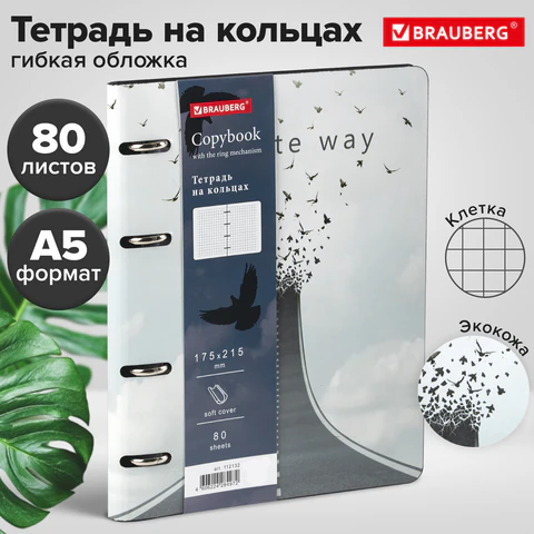 Тетрадь на кольцах А5 (180х220 мм), 80 листов, под кожу, клетка, BRAUBERG VISTA, Infinite way, 112132