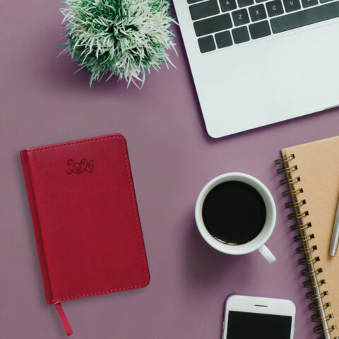 Ежедневник датированный 2026, МАЛЫЙ ФОРМАТ 100х150 мм, А6, BRAUBERG "Rainbow", под кожу, красный, 117256