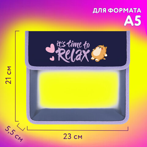 Папка для тетрадей ЮНЛАНДИЯ А5, пластик, 2 отделения, клапан на липучке, "Bored cat", 272189