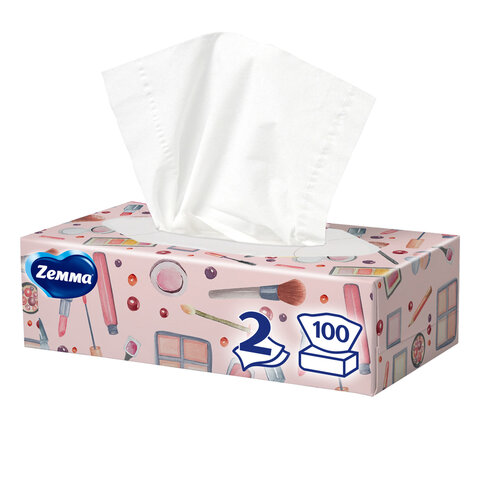 Салфетки косметические 100 штук в картонном боксе, 2-слойные, ZEMMA/ZEWA Everyday, 62861