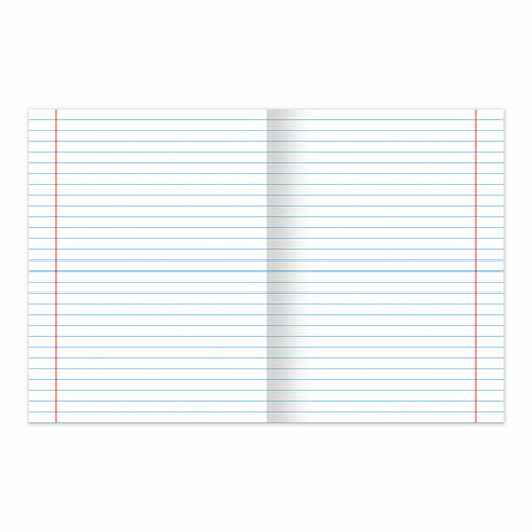 Тетрадь BRAUBERG "EXTRA" 24 л., линия, плотная бумага 80 г/м2, обложка картон, 105711